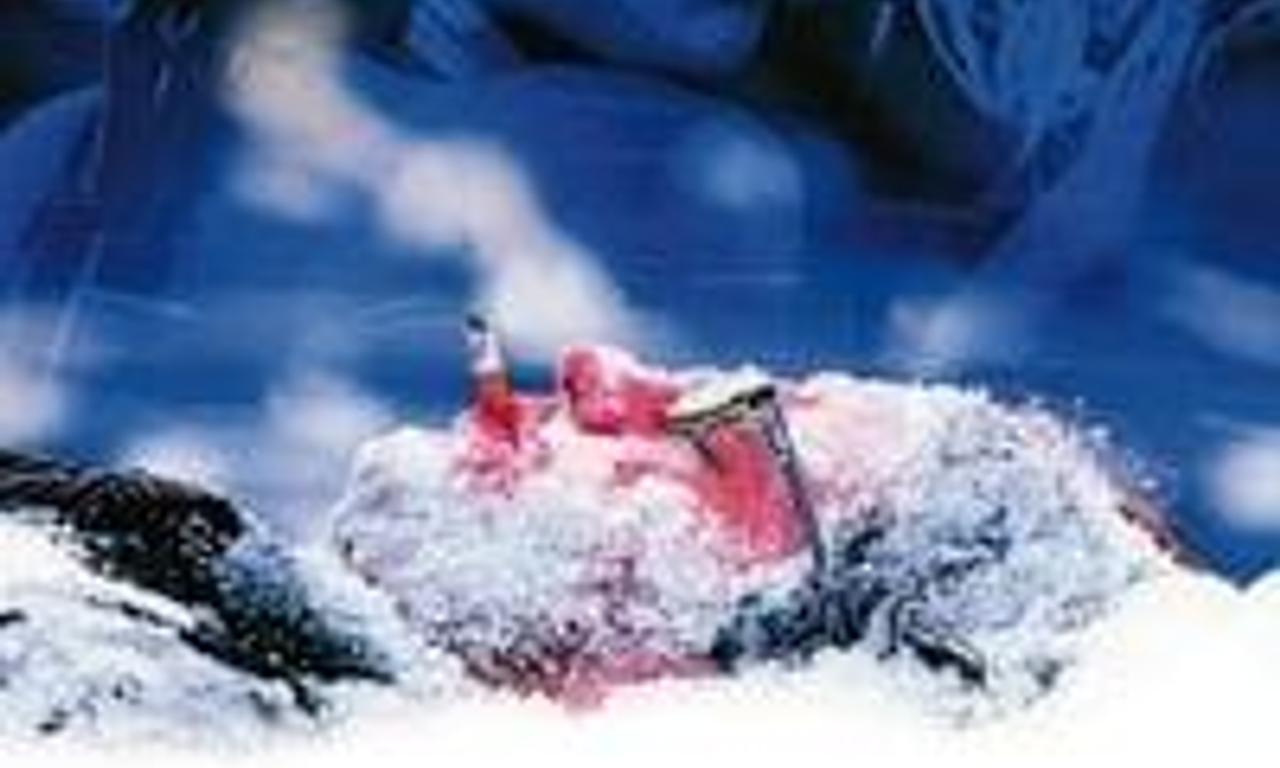 header image for 101 Reykjavik