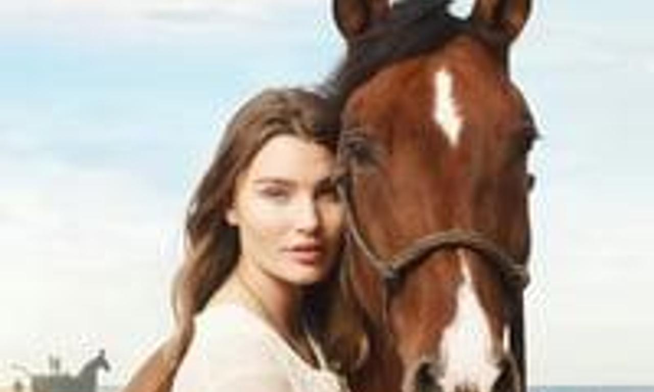 header image for Immenhof - The Adventure of a Summer