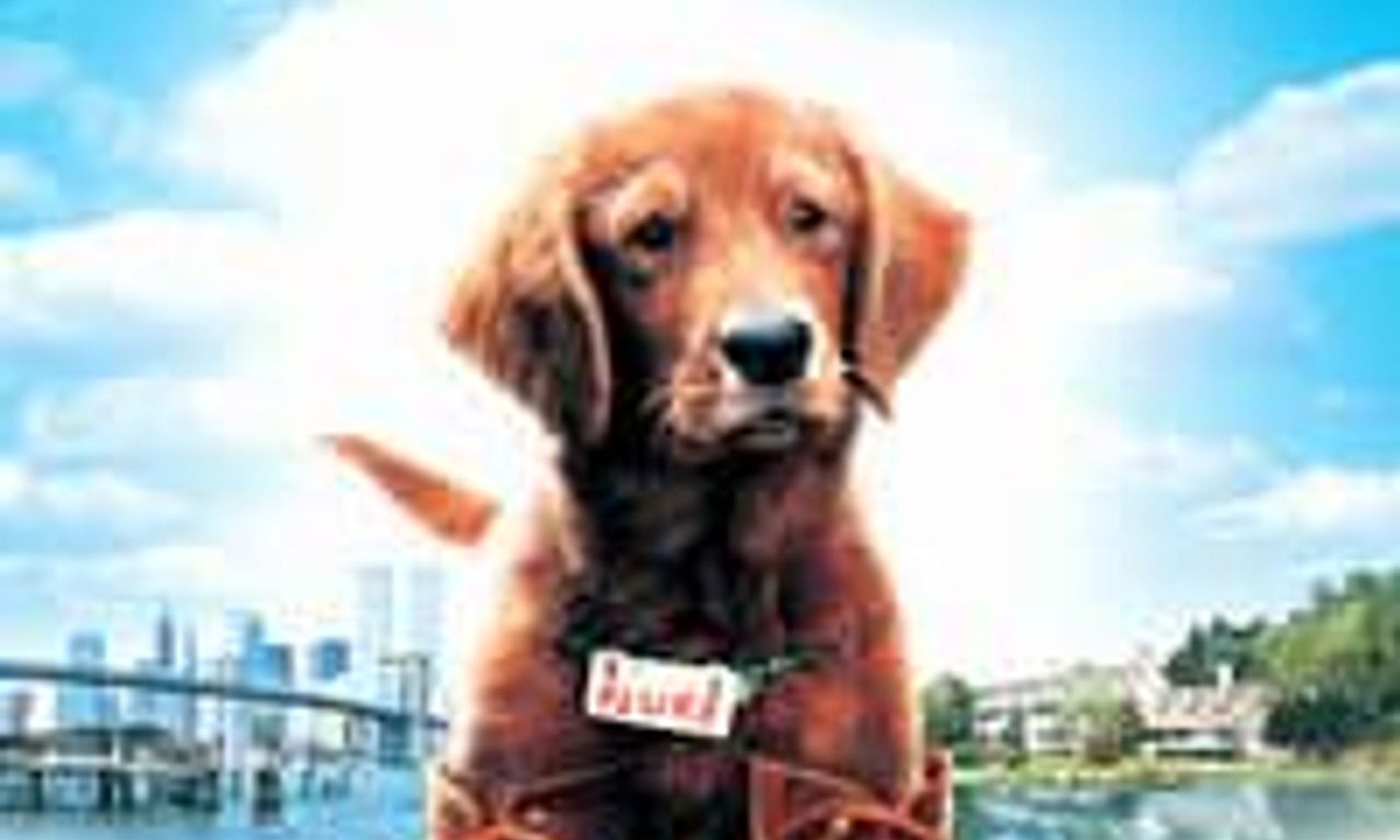 header image for Fluke