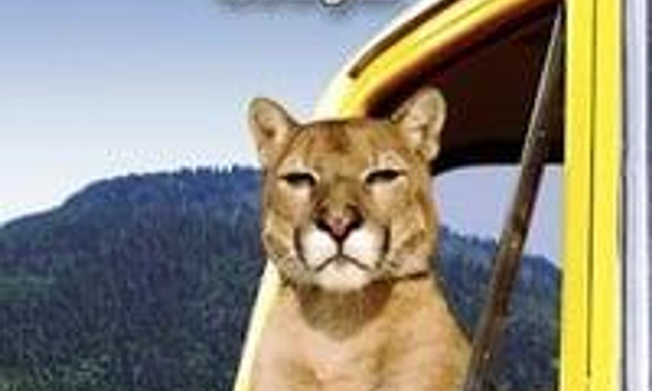 header image for Charlie, the Lonesome Cougar