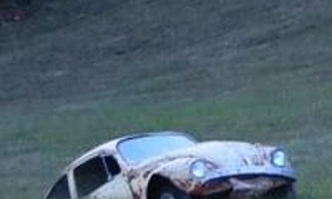 header image for Huckleberry