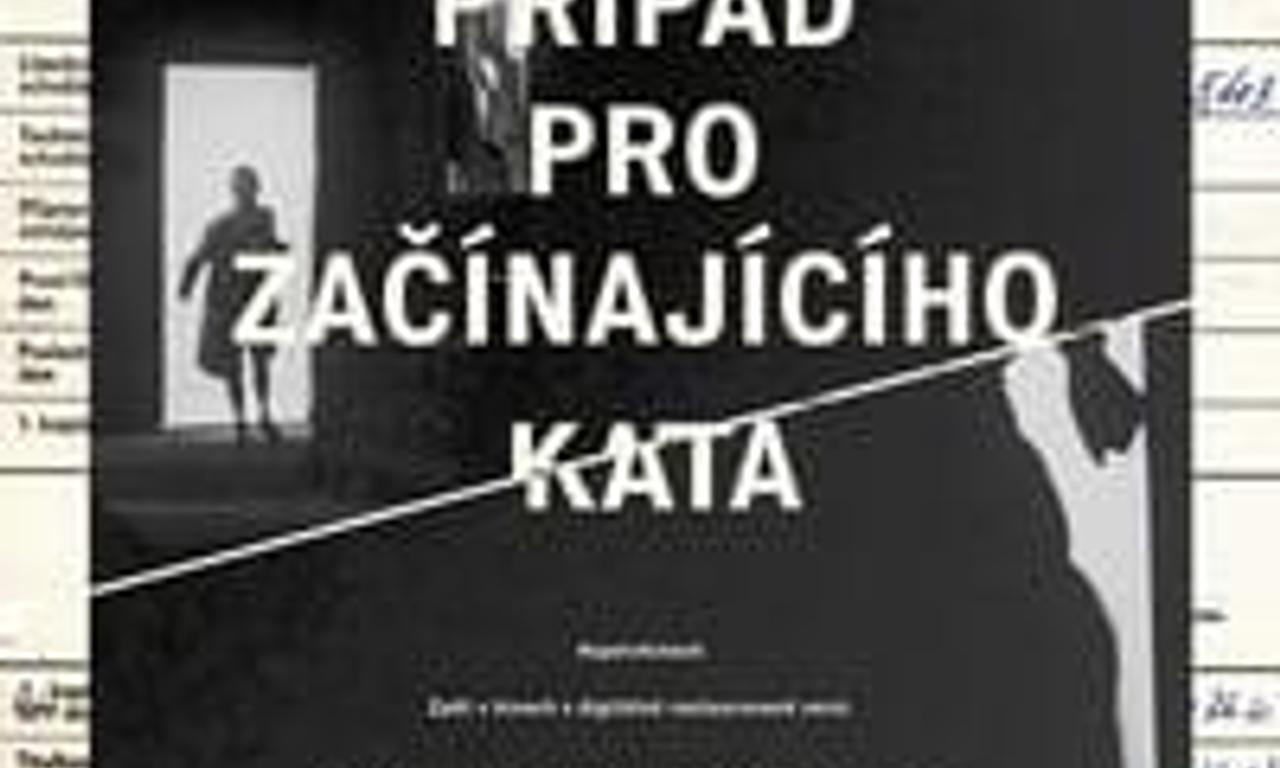 header image for Case for a Rookie Hangman