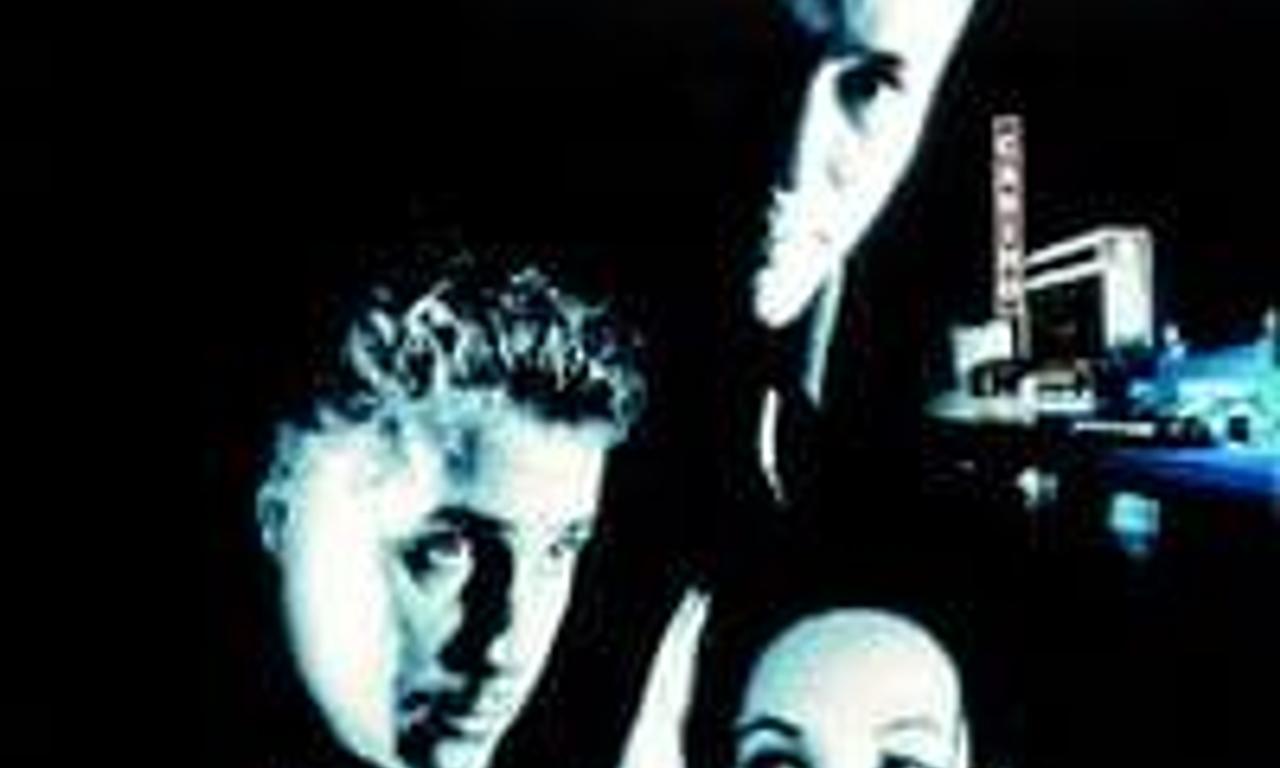 header image for Gunshy