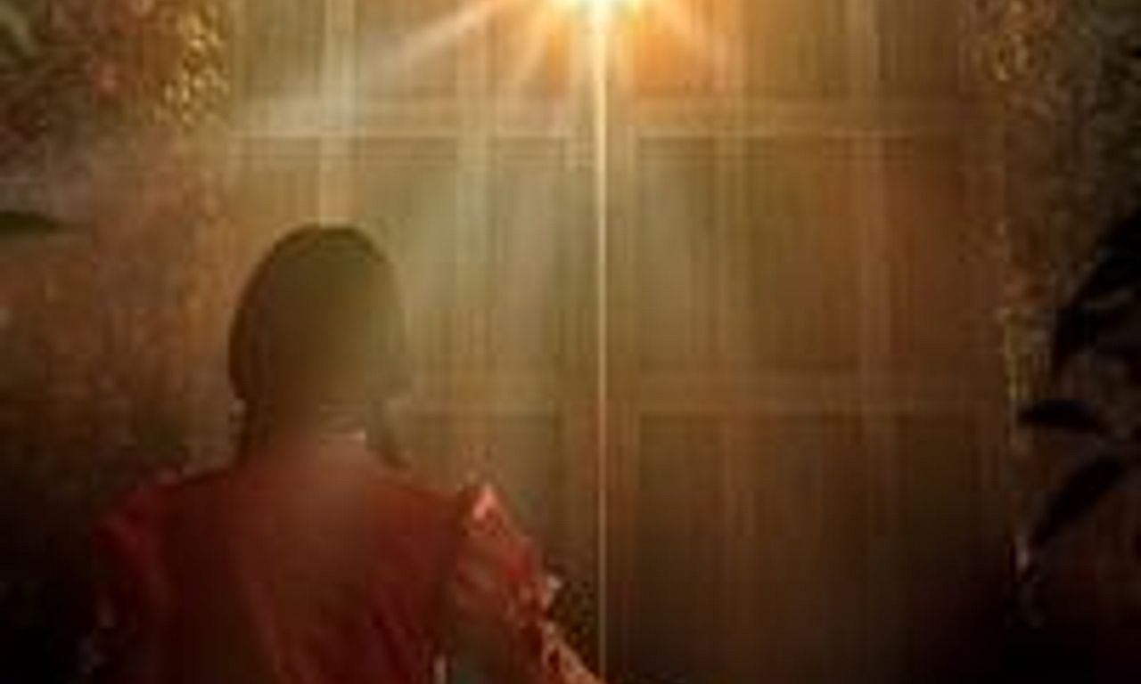 header image for Little Miss Eyeflap