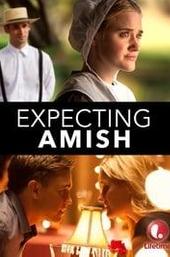 Expecting Amish