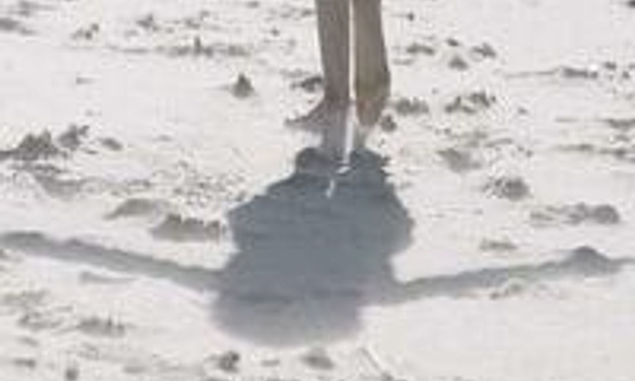 header image for Upon the Shadow