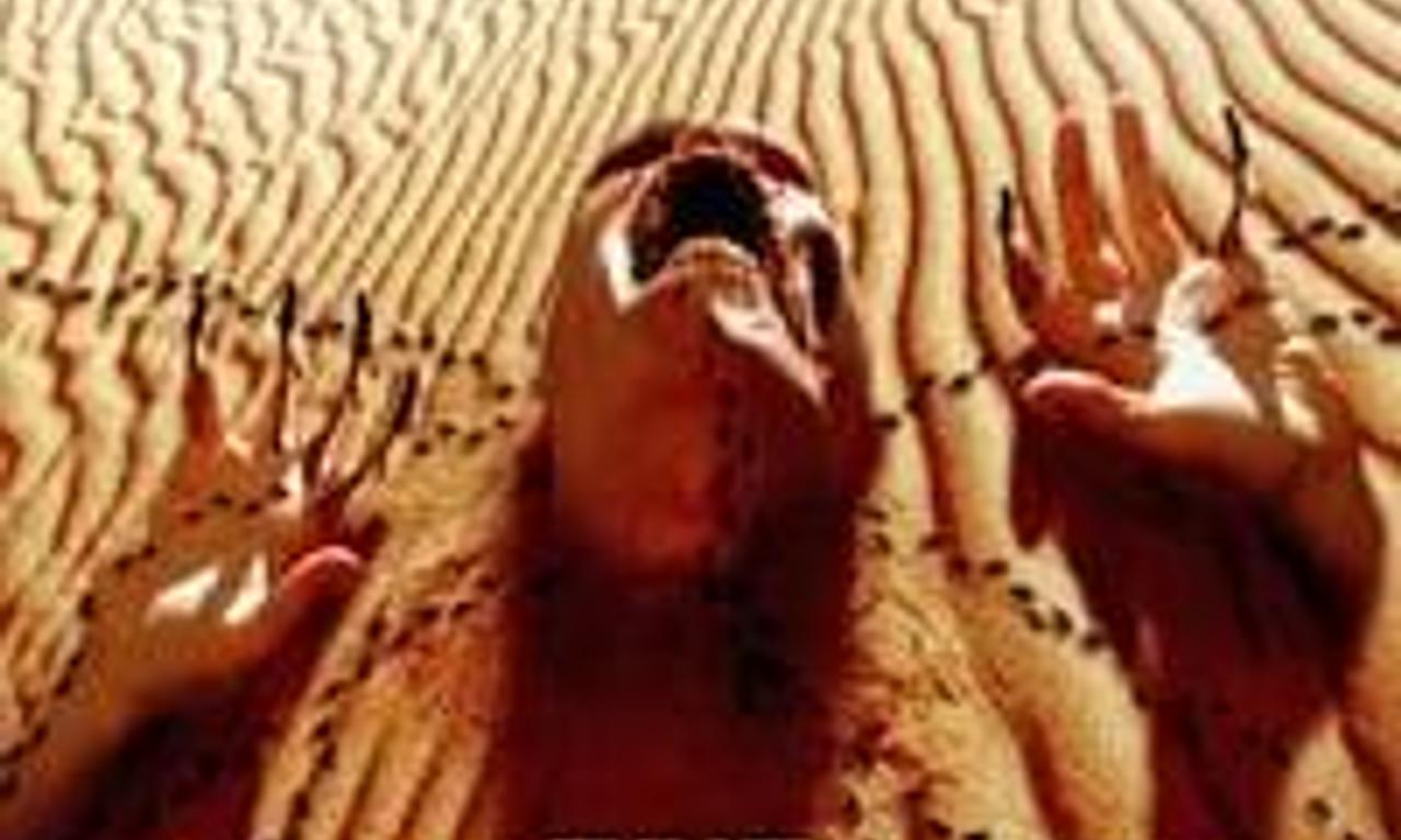 header image for The Bone Snatcher