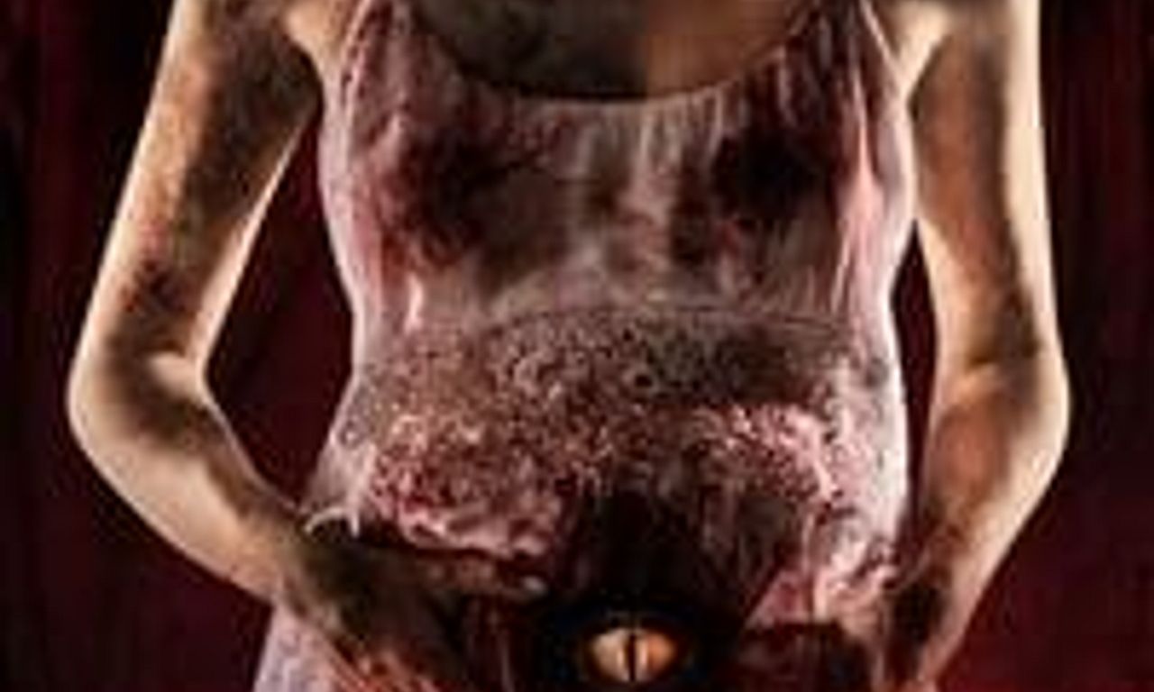 header image for Deccal