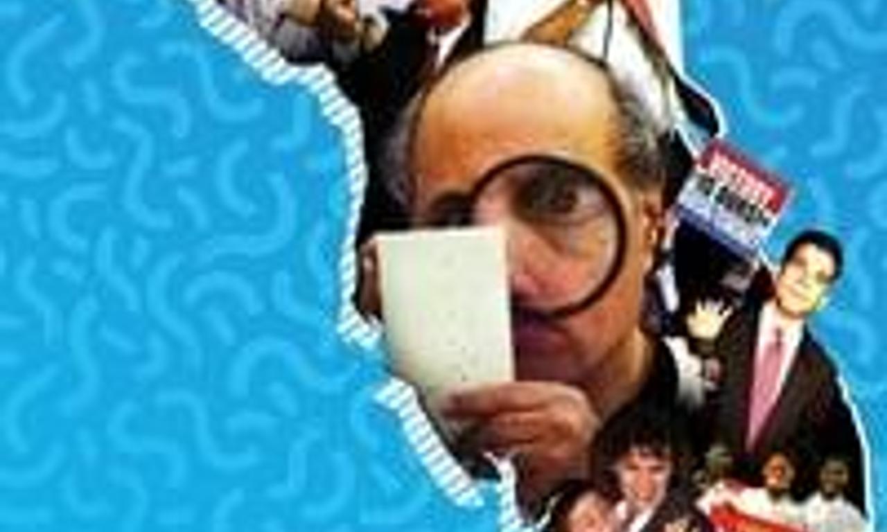 header image for 537 Votes