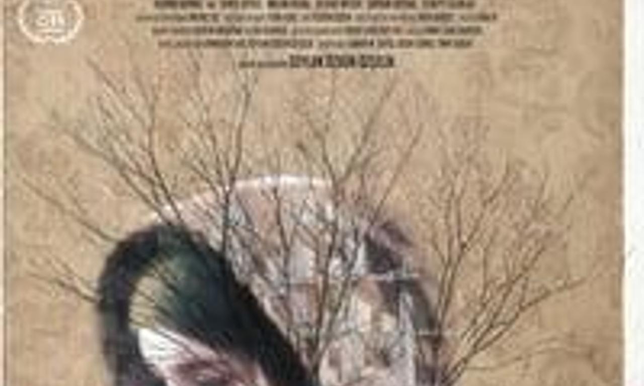 header image for Inflame