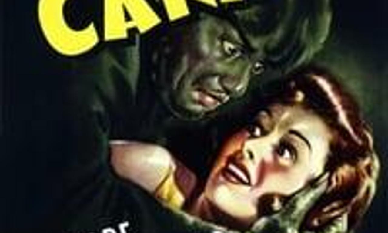 header image for The Cat and the Canary