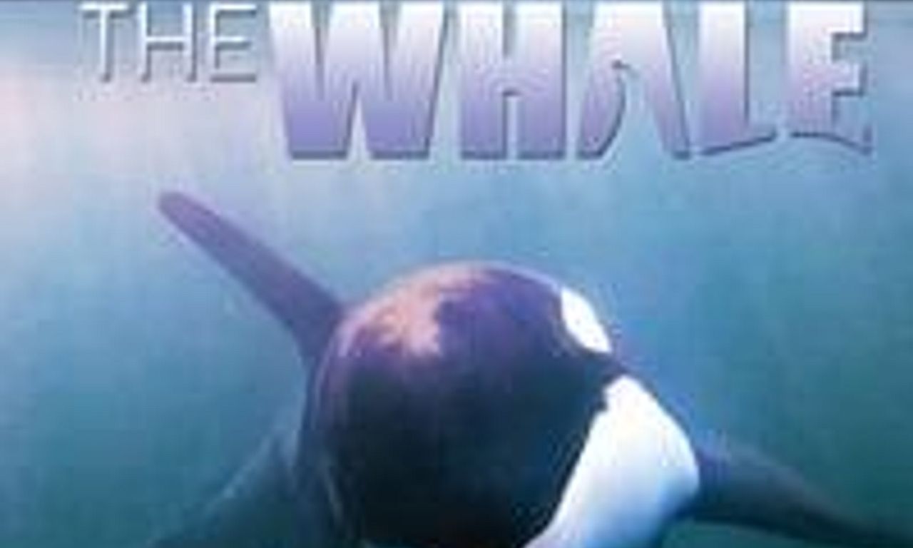 header image for The Whale