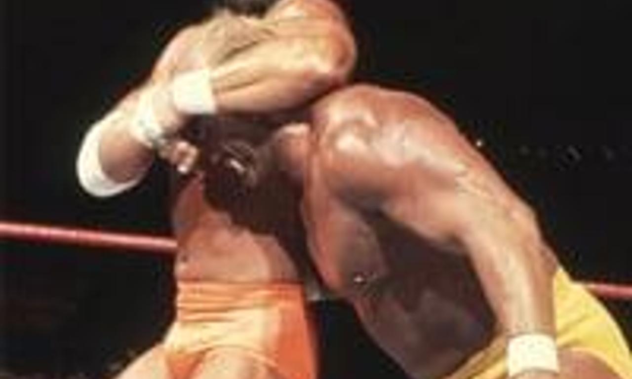 header image for WWE WrestleMania V