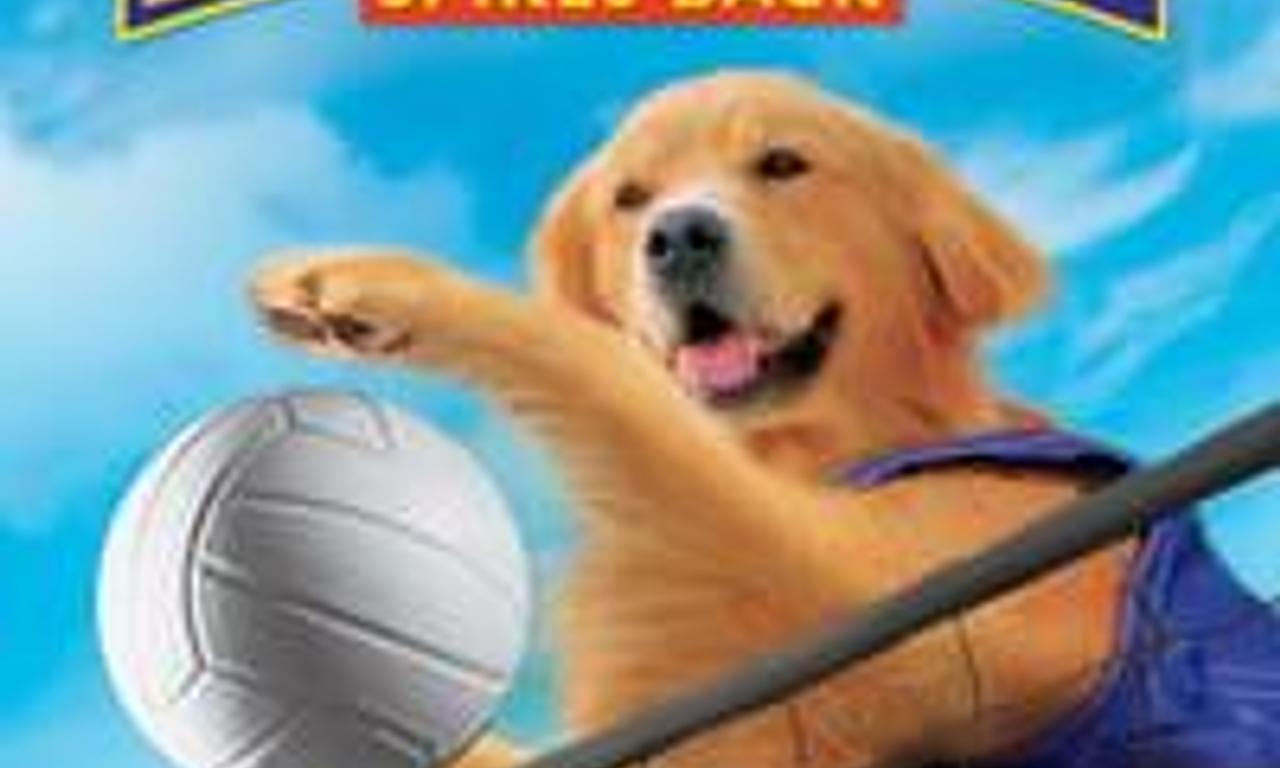 header image for Air Bud: Spikes Back