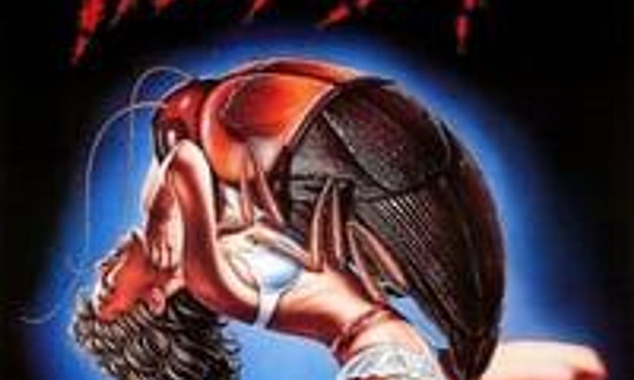 header image for The Nest