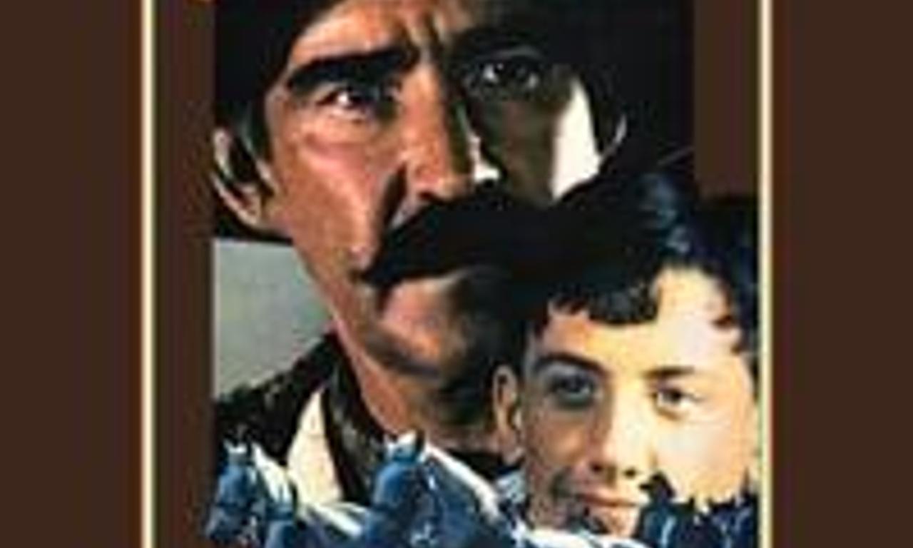 header image for The Irishman