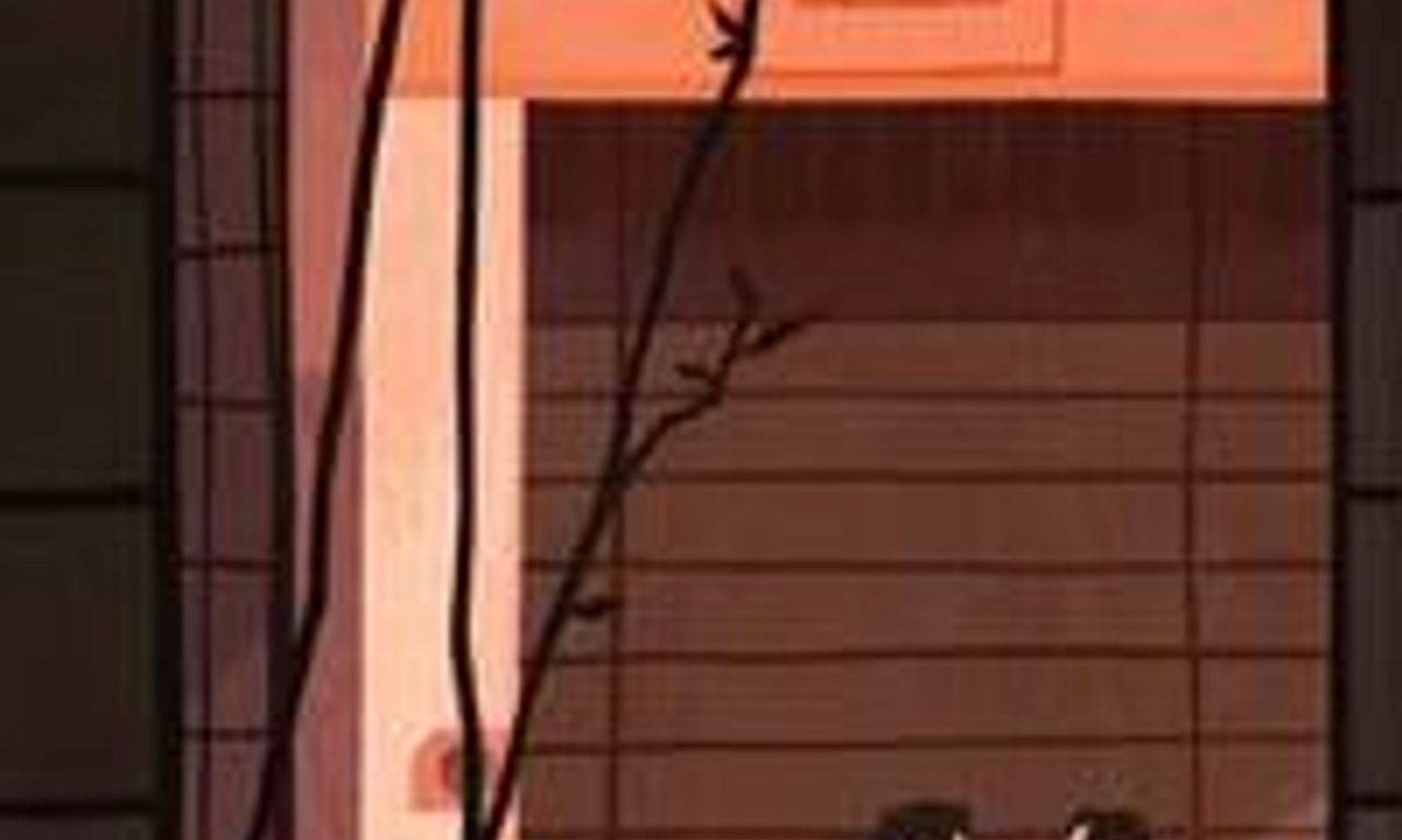 header image for The Flavor of Green Tea Over Rice