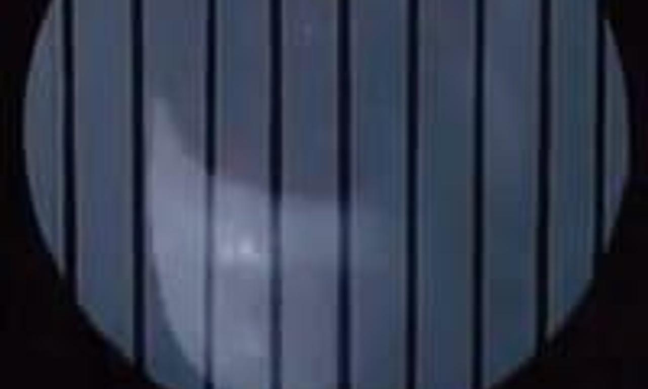 header image for The Alphabet