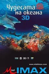 Amazing Ocean 3D