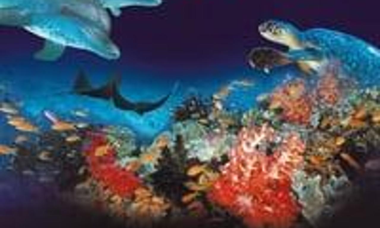 header image for Amazing Ocean 3D