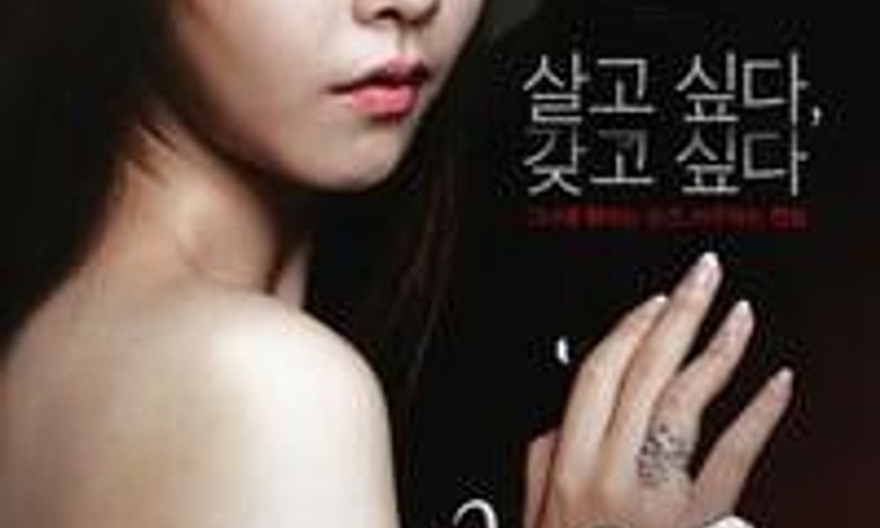 header image for Door to the Night