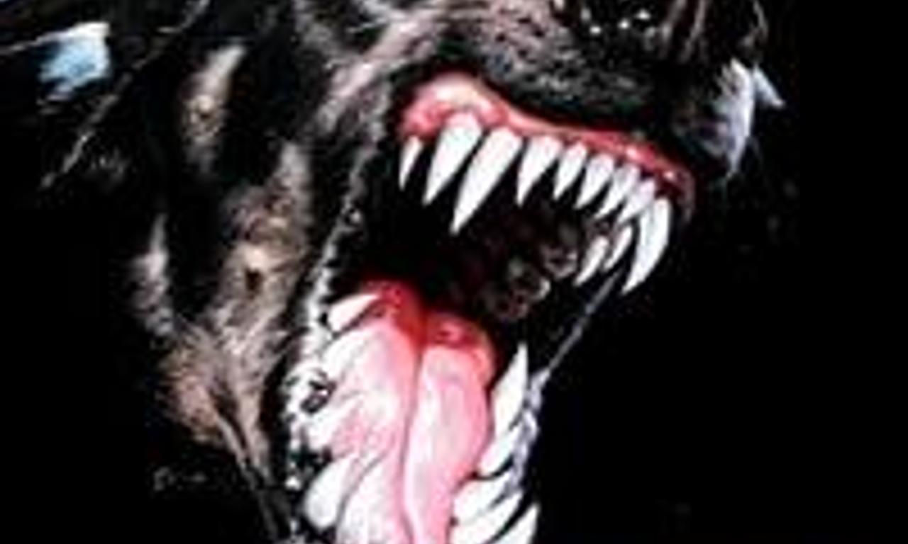 header image for Dogs