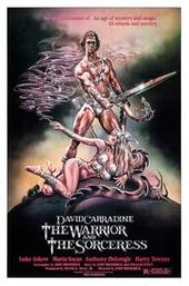 The Warrior and the Sorceress