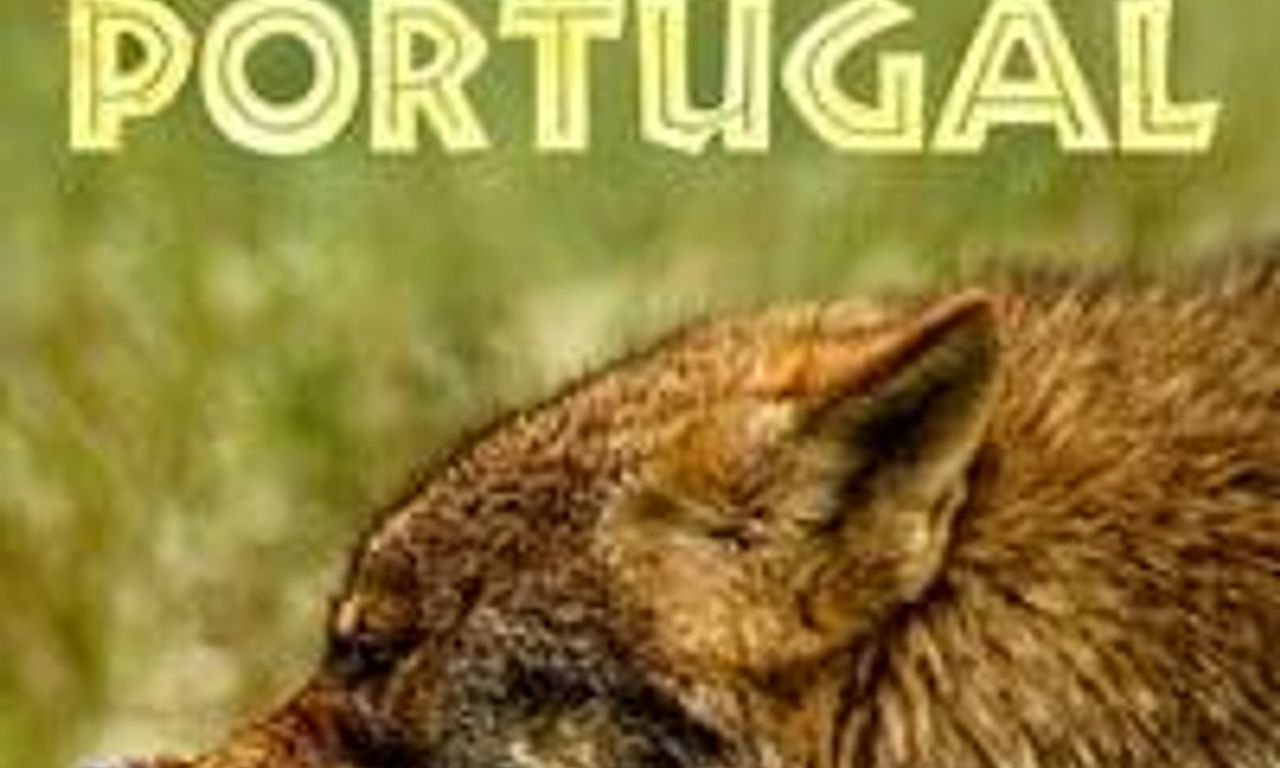 header image for Wild Portugal