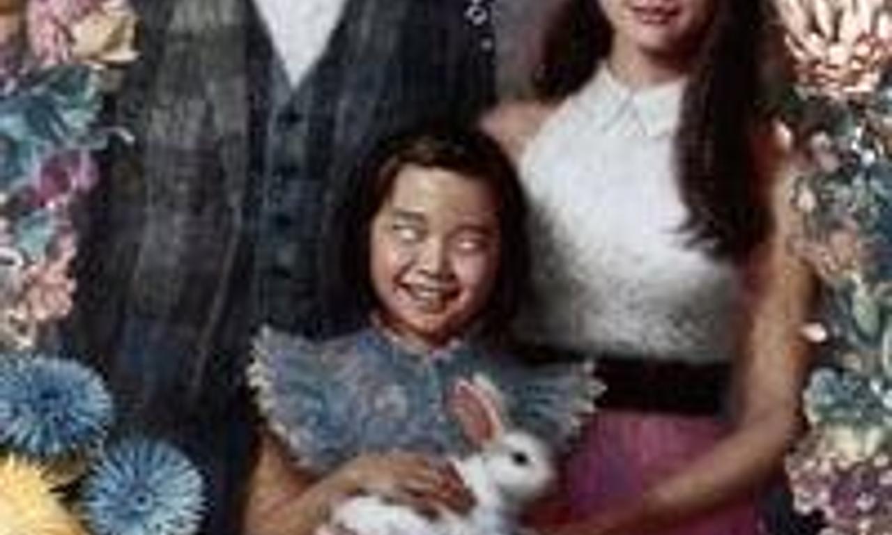 header image for The Cinderella Addiction