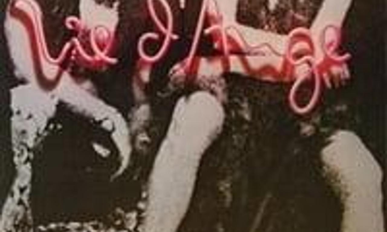 header image for Angel Life