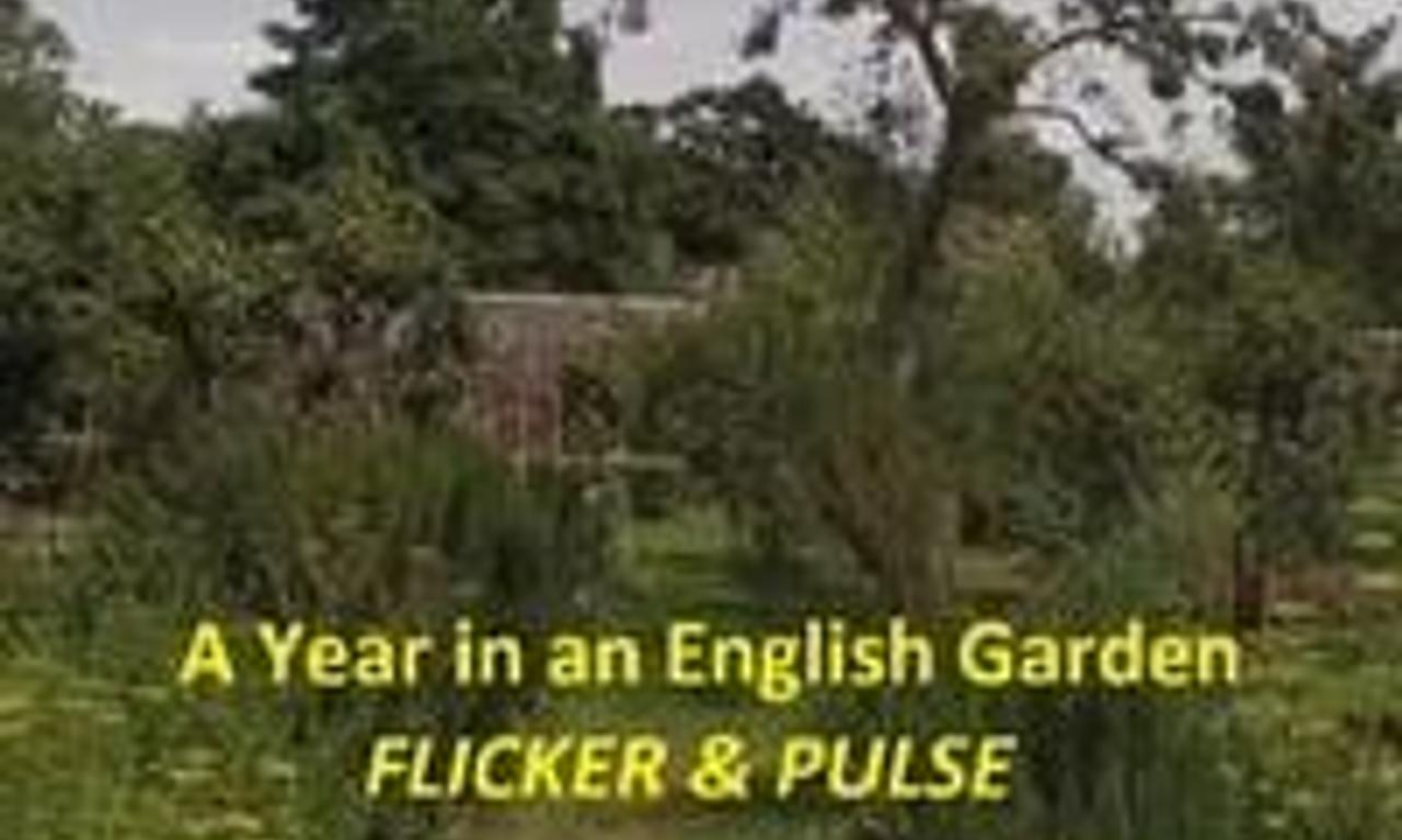Flicker & Pulse Where to Watch and Stream Online Entertainment.ie