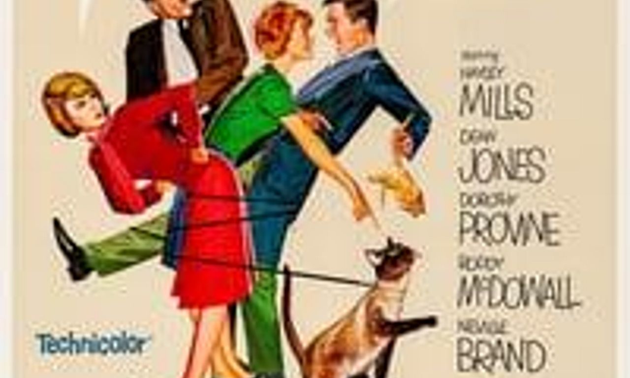 header image for That Darn Cat!