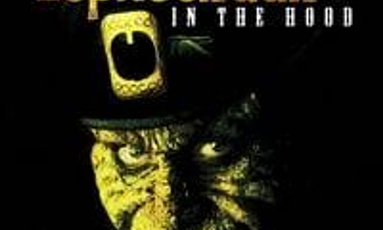 header image for Leprechaun in the Hood