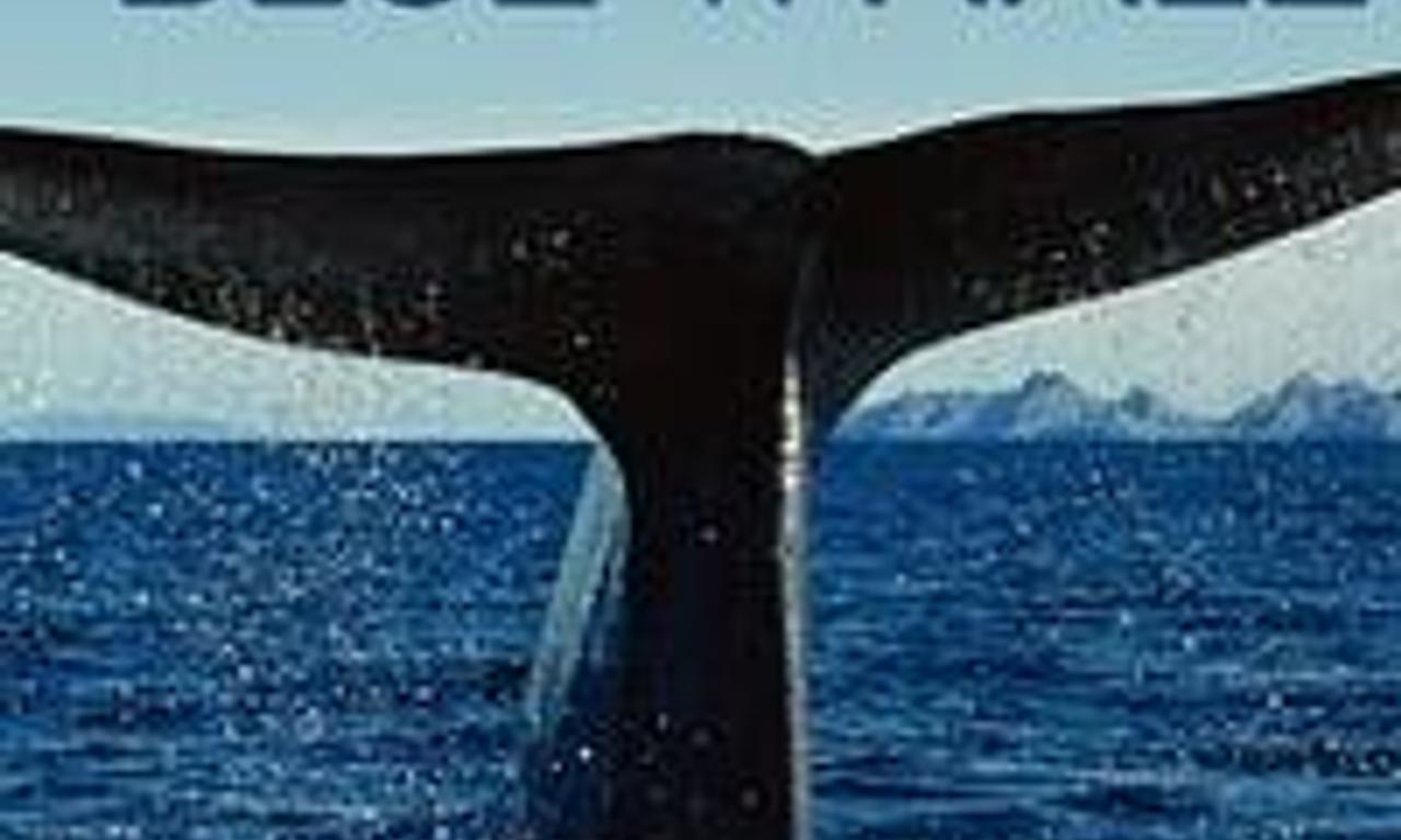 header image for Kingdom of the Blue Whale