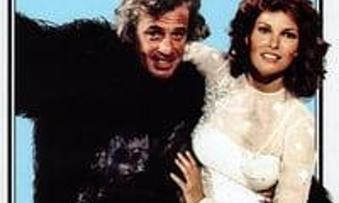 header image for Stuntwoman