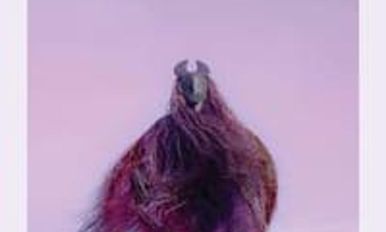 header image for The Lost Okoroshi