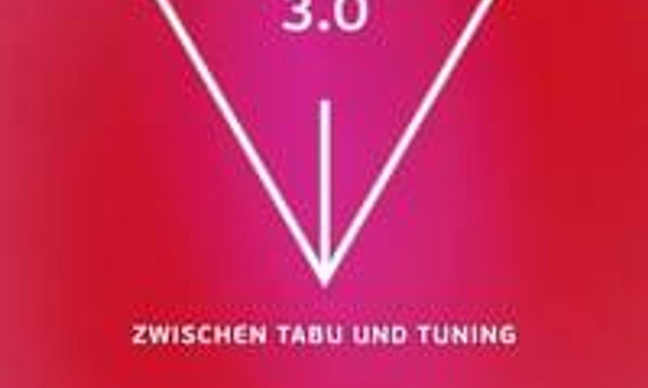 header image for Vulva 3.0