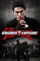 Crows Explode