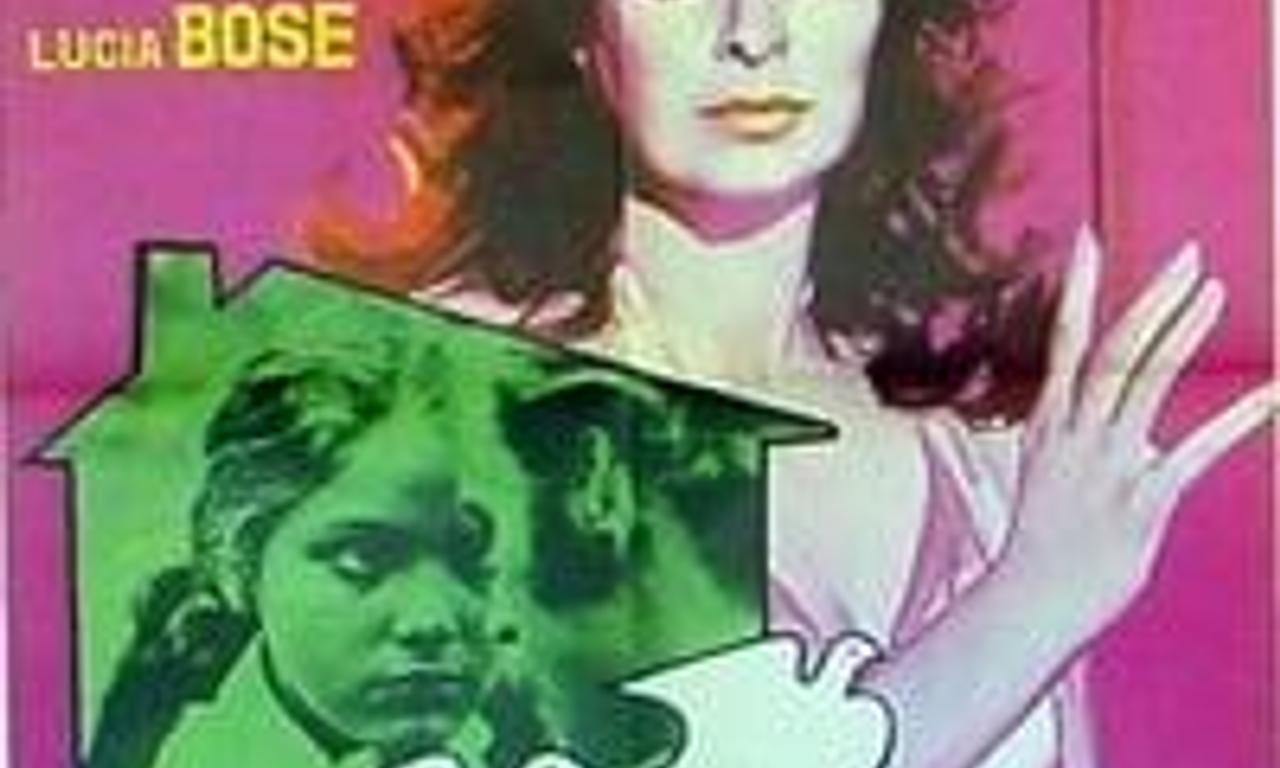 header image for The House of Doves