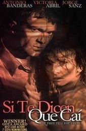 If They Tell You I Fell