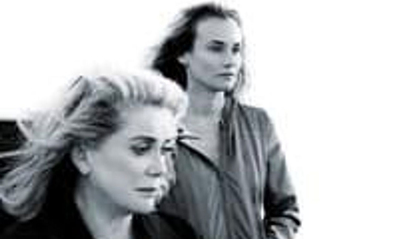 header image for All That Divides Us