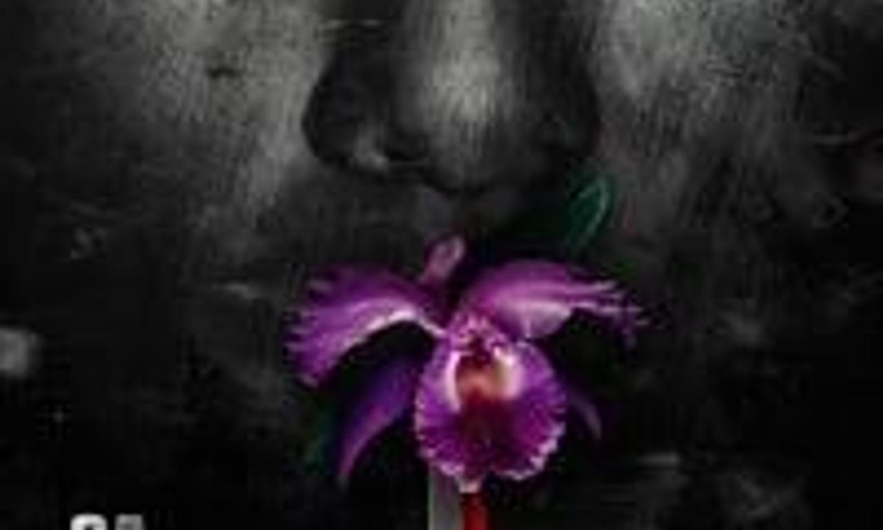 header image for In My Own Hands