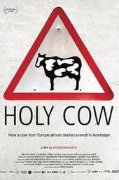 Holy Cow