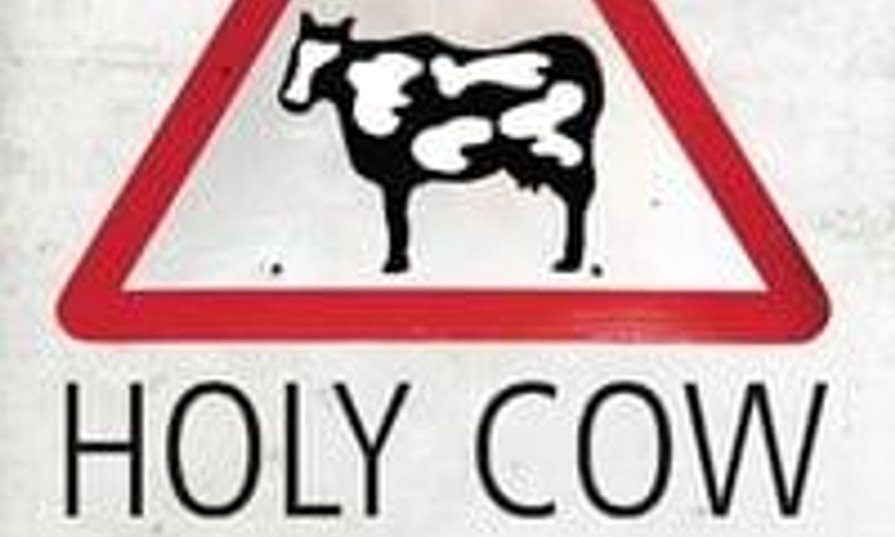 header image for Holy Cow