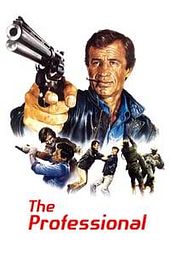 The Professional