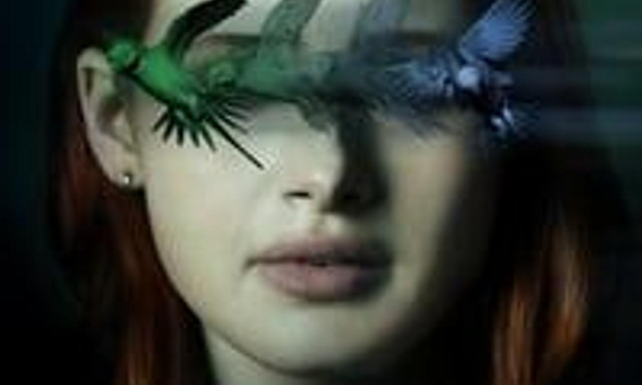 header image for Sightless