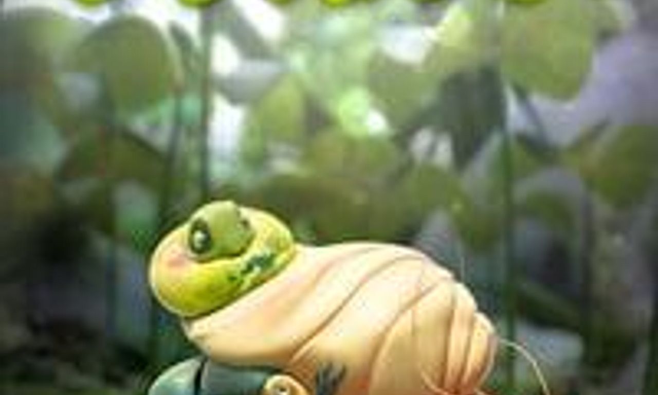 header image for Sweet Cocoon