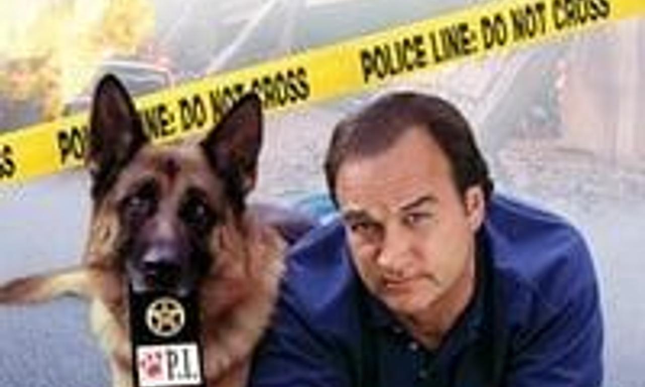 header image for K-9: PI