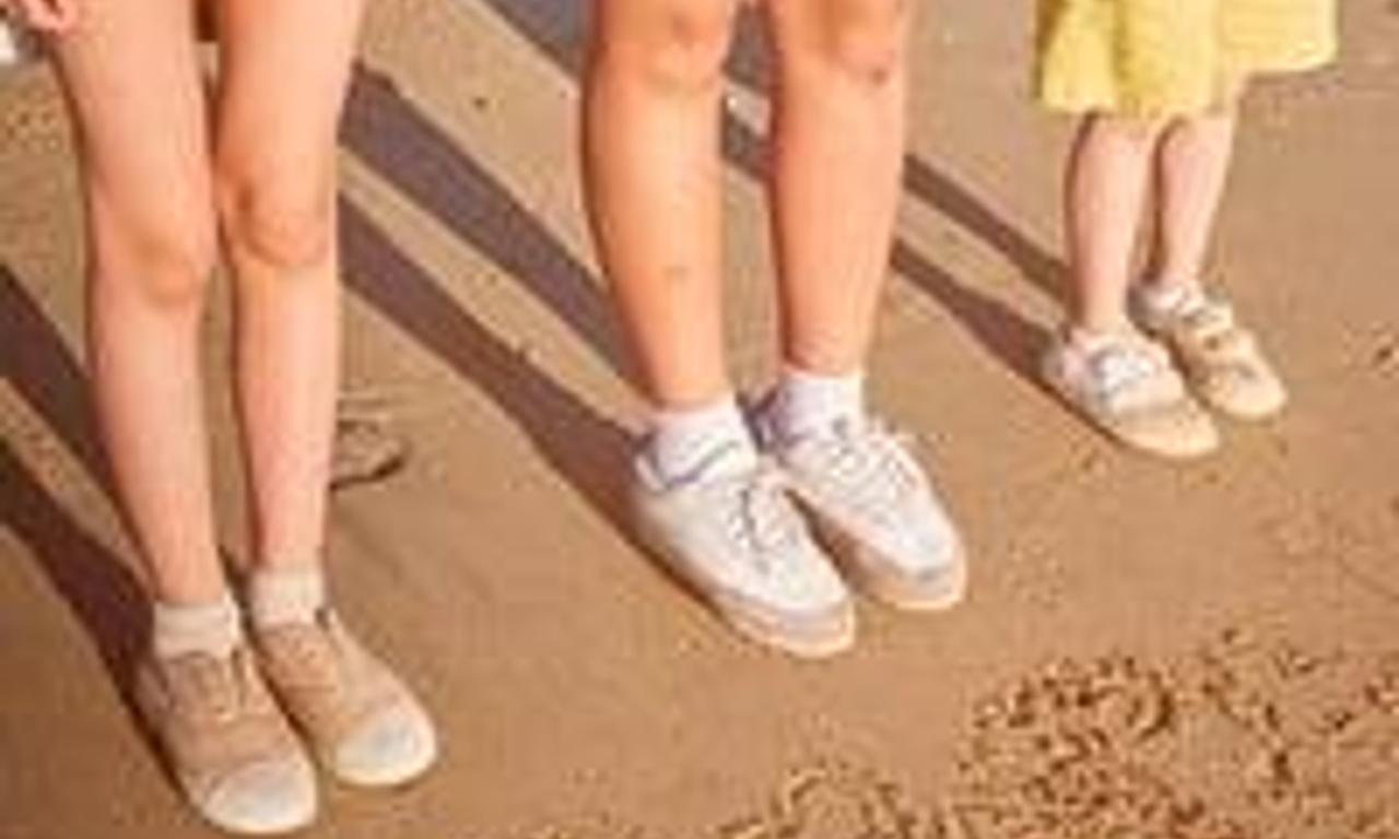 header image for The House of Us