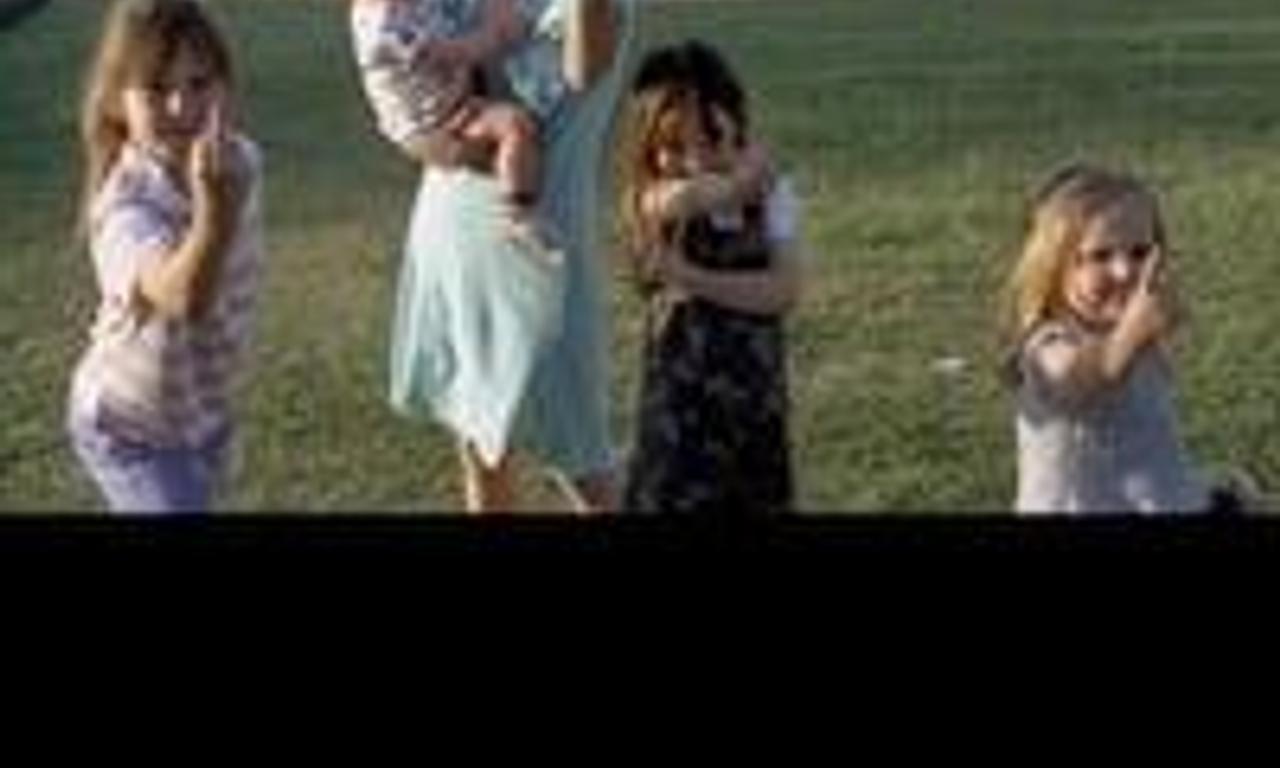 header image for Wasp